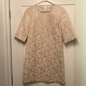 Banana Republic dress with metallic embroidery